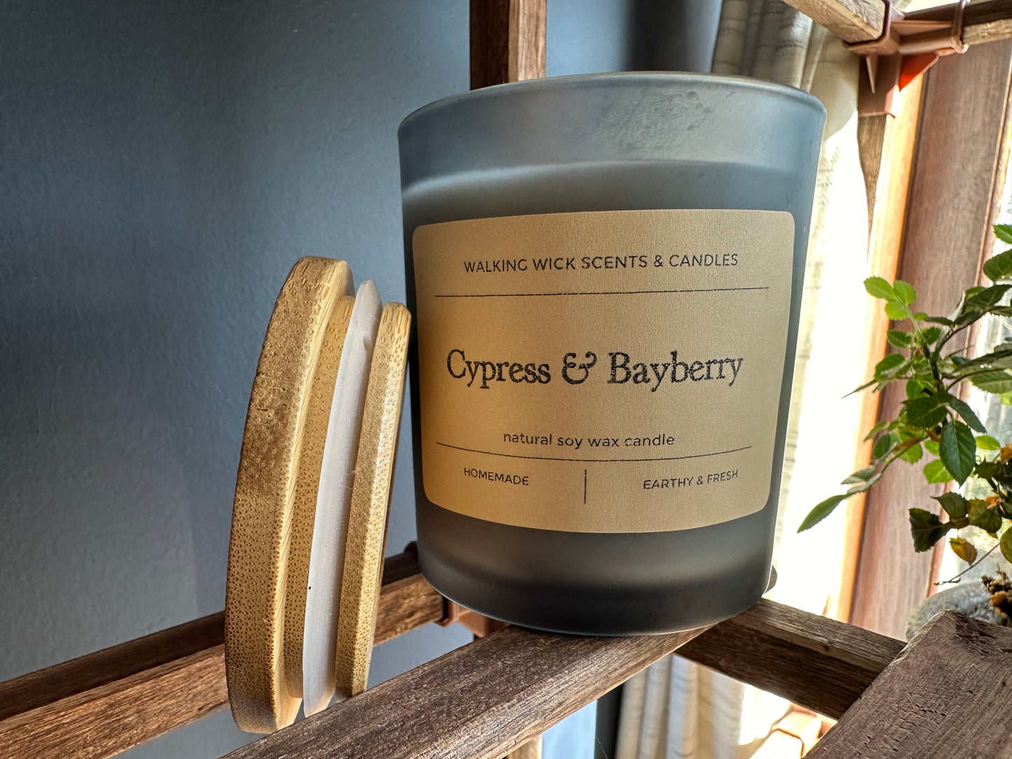 Cypress & Bayberry Candle 8 oz
